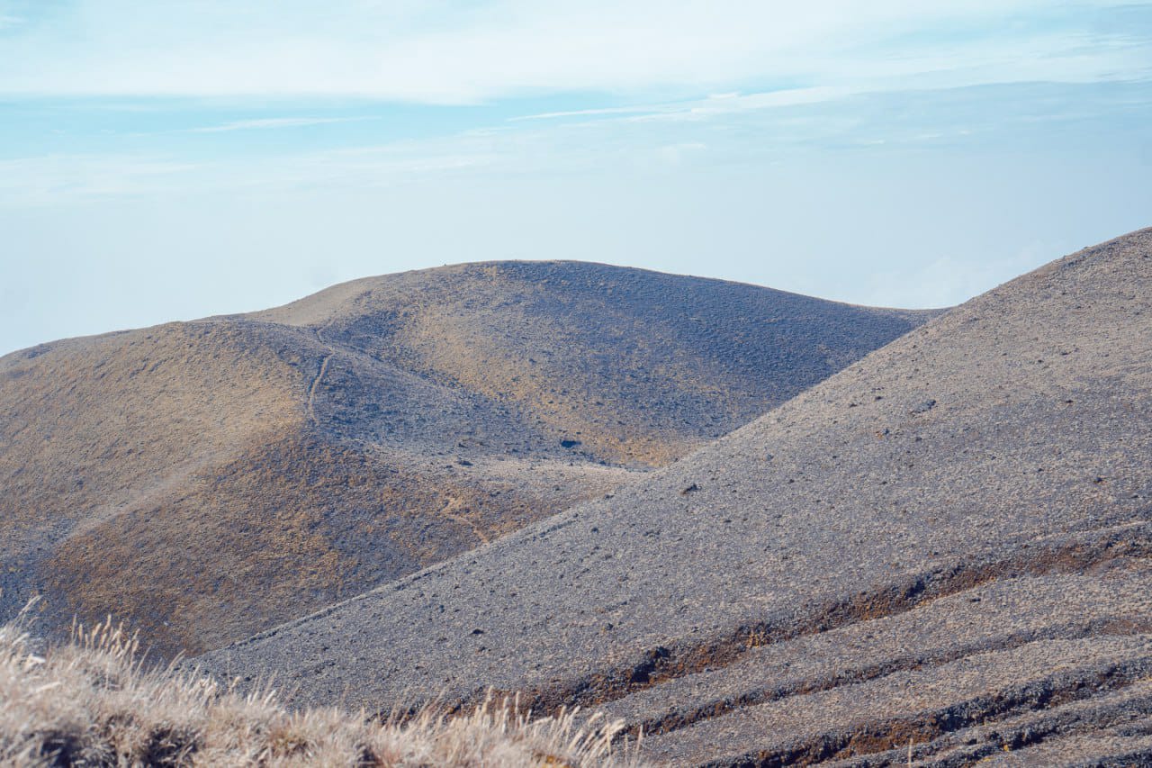 Understanding the Mount Cameroon National Park Fees: What’s Included?