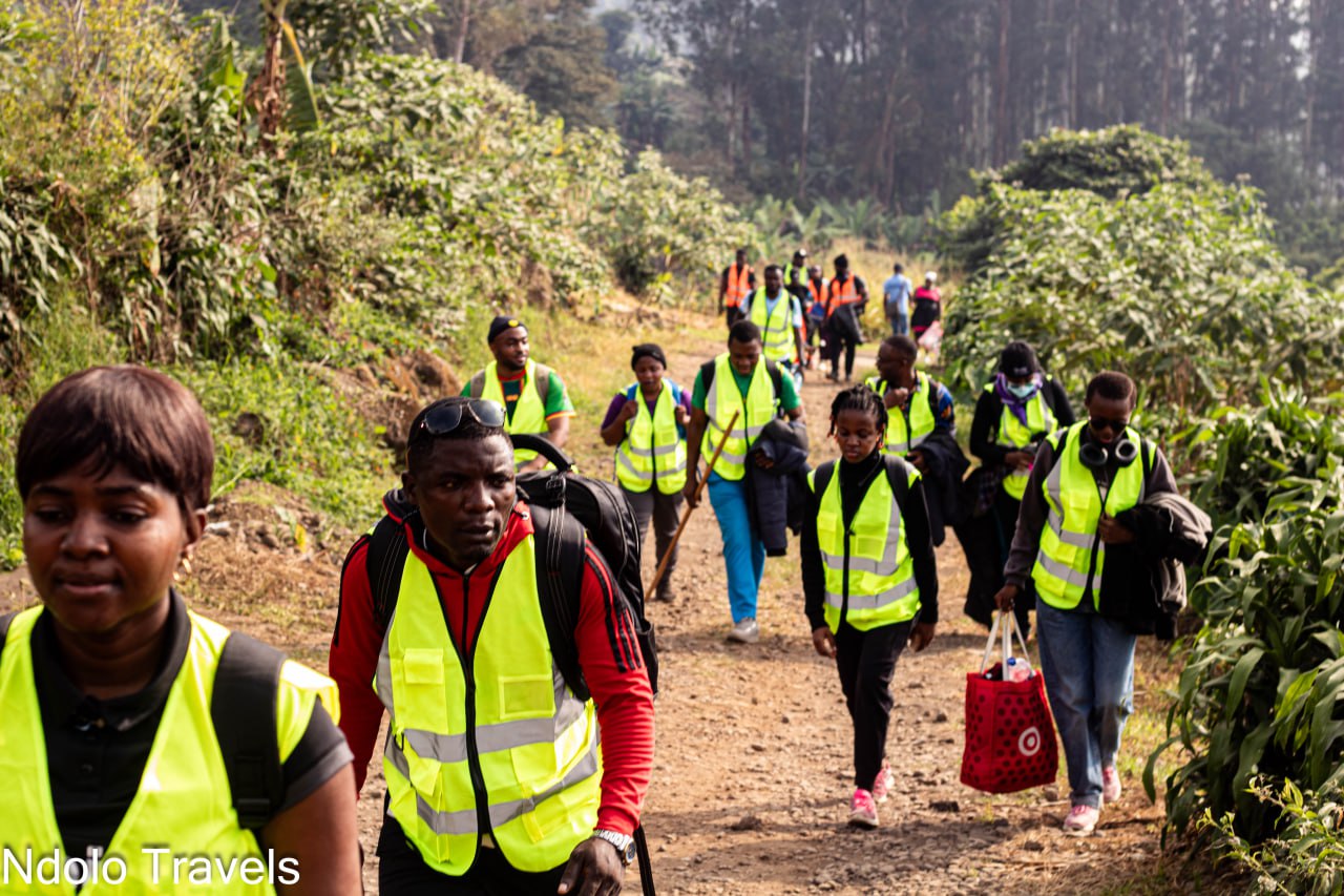 Where Does the Mount Fako Hike Start? Finding the Trailhead in Buea
