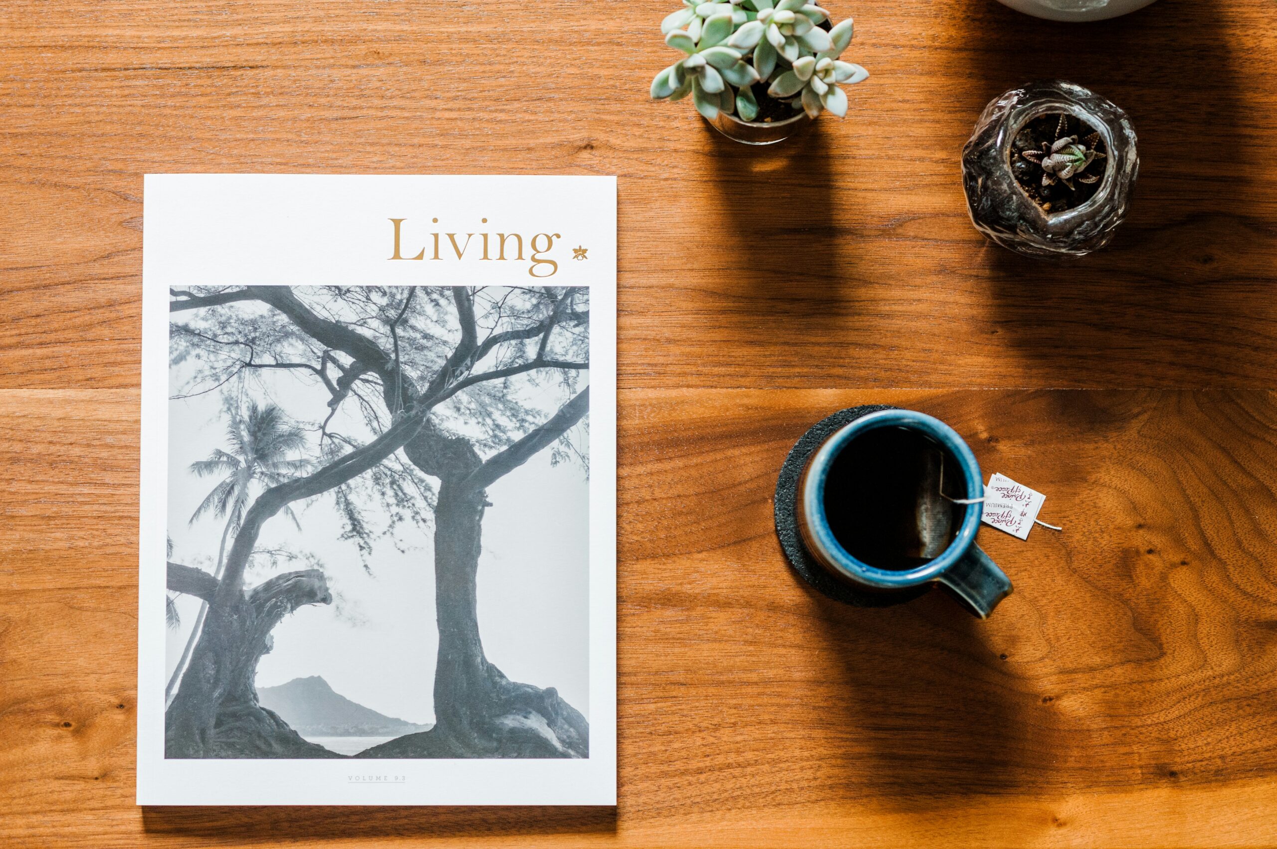 10 Slow Living Ideas Inspired by Cameroon Nature and Travel Scenes