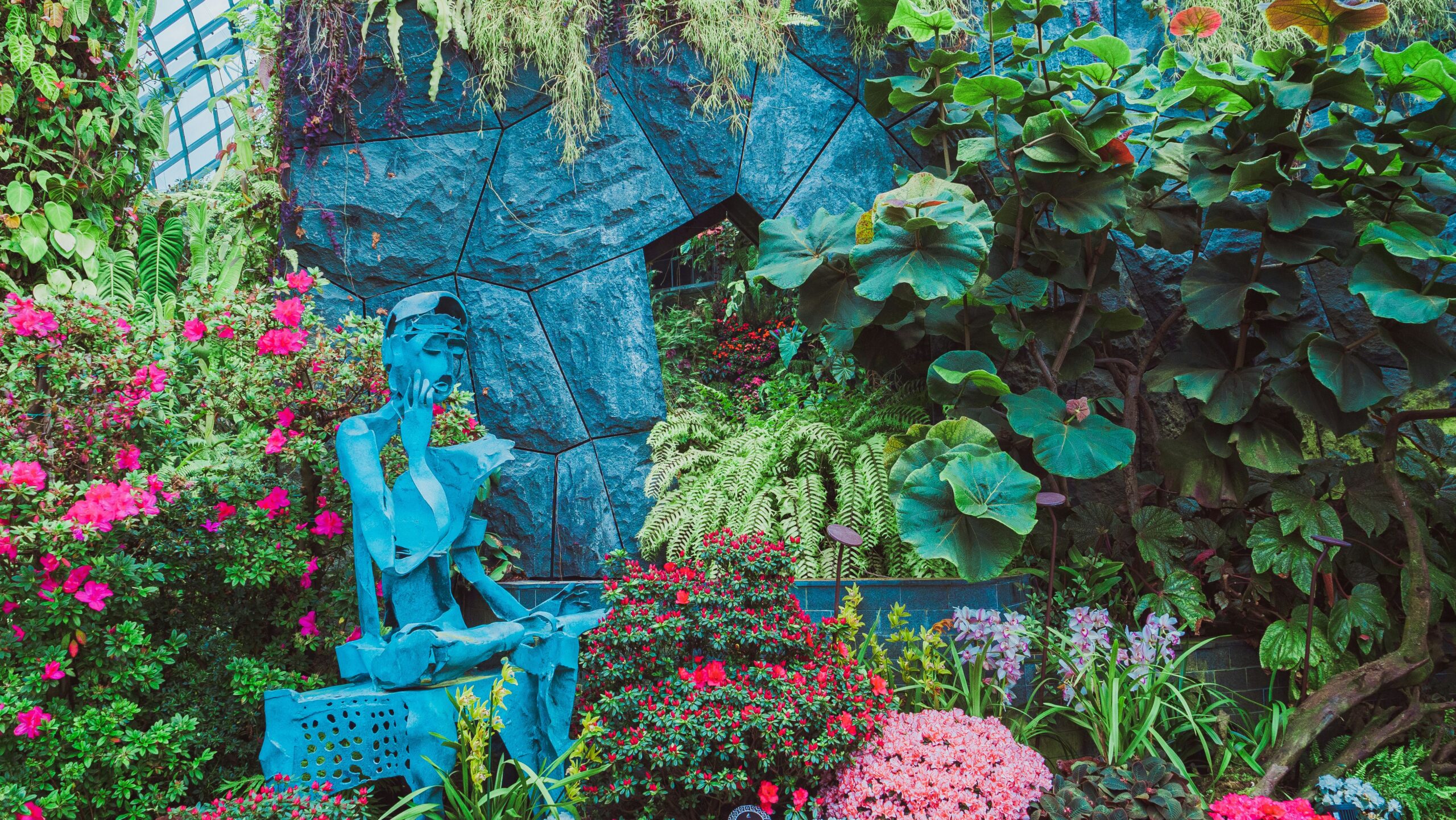 12 Rainforest Garden Ideas Inspired by Korup National Park in Cameroon