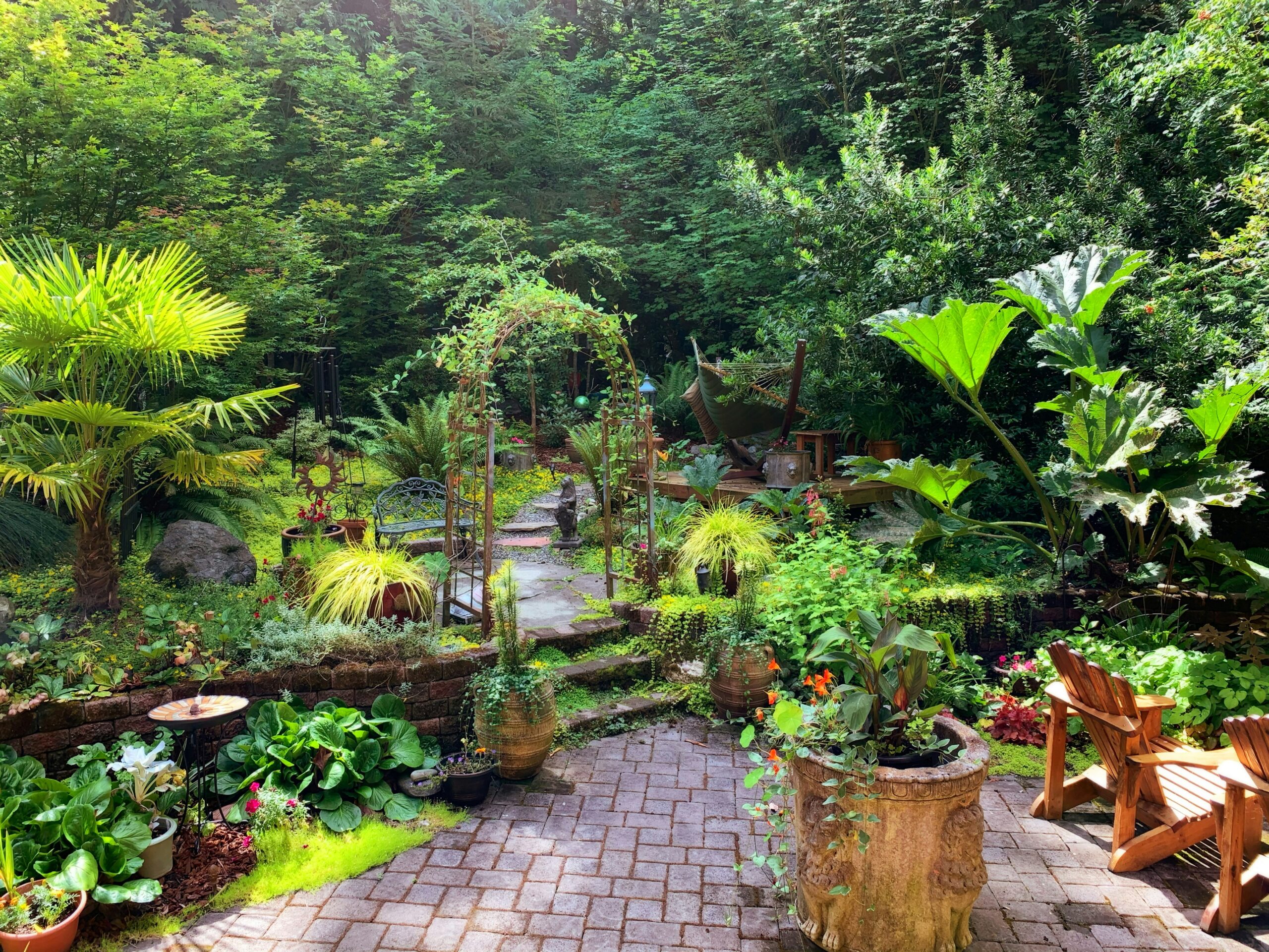 10 Jungle Backyard Design Ideas Inspired by Cameroon Rainforest Travel