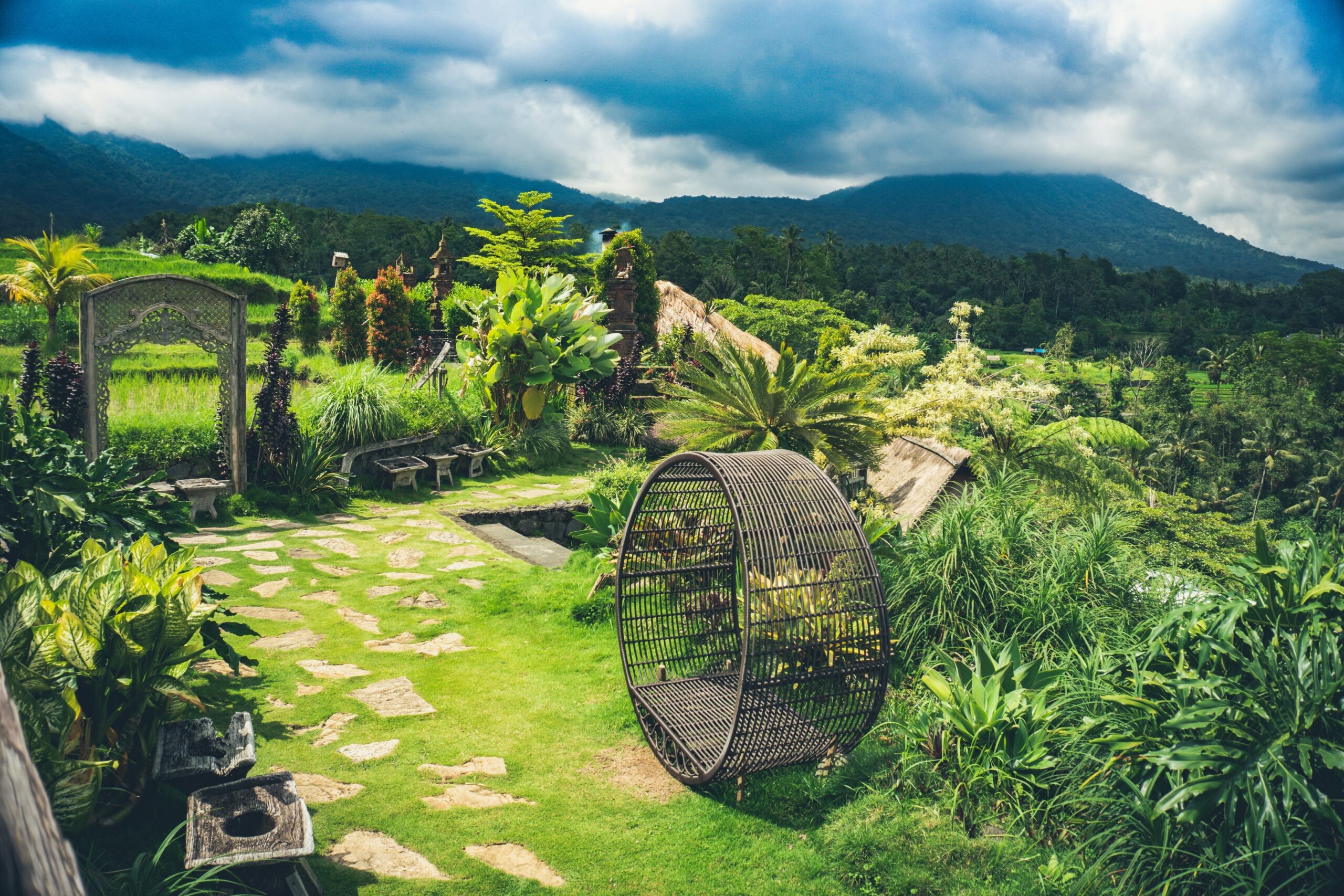 9 Cool Climate Garden Ideas Inspired by Mount Cameroon Landscapes